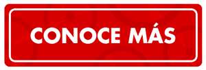 visite-web-bicichicos