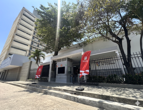 Respaldado por la OMS y Cochrane: estudios confirman que cámaras de velocidad reducen hasta un 49 % los siniestros viales